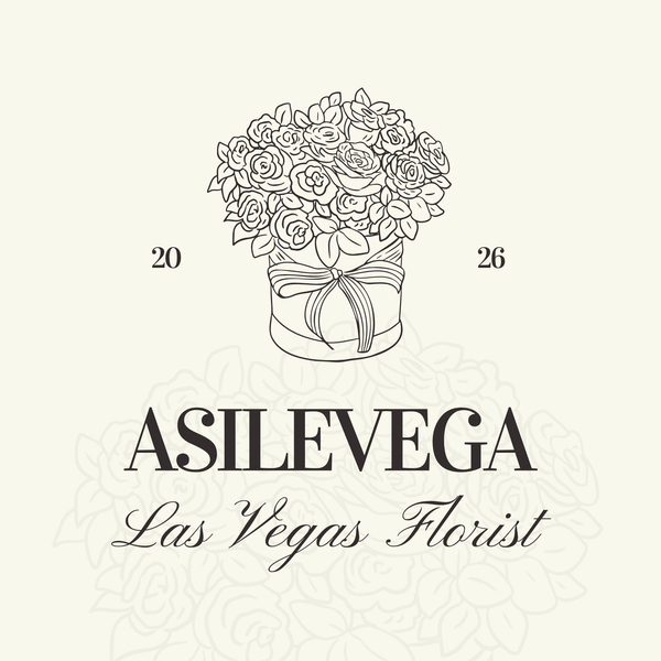 ASILEVEGA